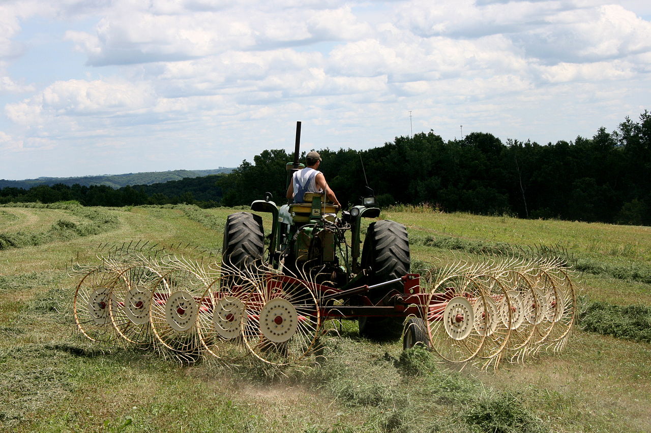 Сгребание сена в валки колёсно-пальцевыми граблями прицепленными к John Deere 4020