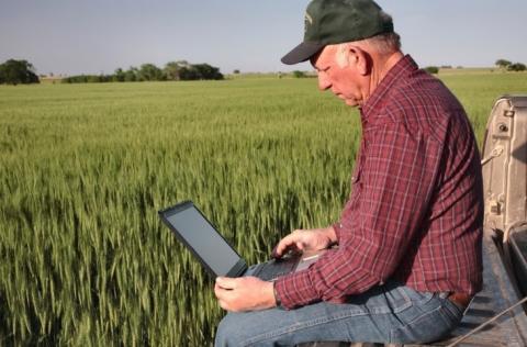 фермер поле ноутбук цифровизация сельского хозяйства