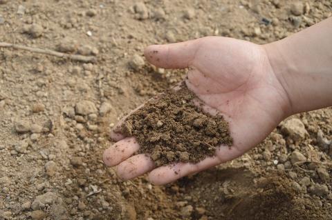 почва рука компост