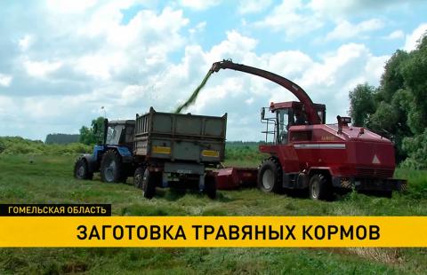Заготовка травяных кормов Гомельская область