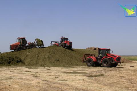 Свыше 15-ти тысячи тонн сенажа заготовили механизаторы сельхозпредприятия ФГУП «Пойма»